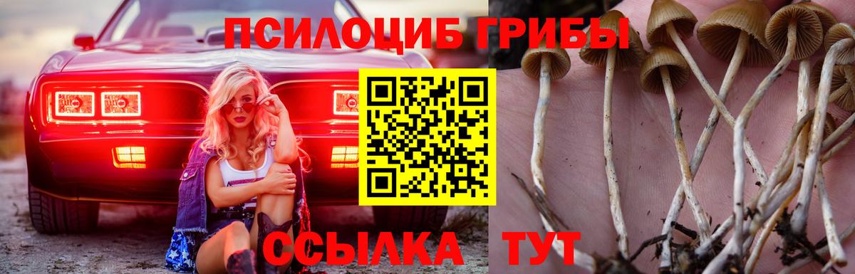 Псилоцибиновые грибы GOLDEN TEACHER Владикавказ